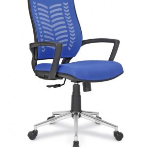 NAPOLI ÇALIŞMA KOLTUĞU