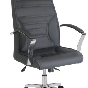 PLANET YÖNETİCİ KOLTUĞU