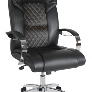 الرئيس التنفيذي لشركة تريو