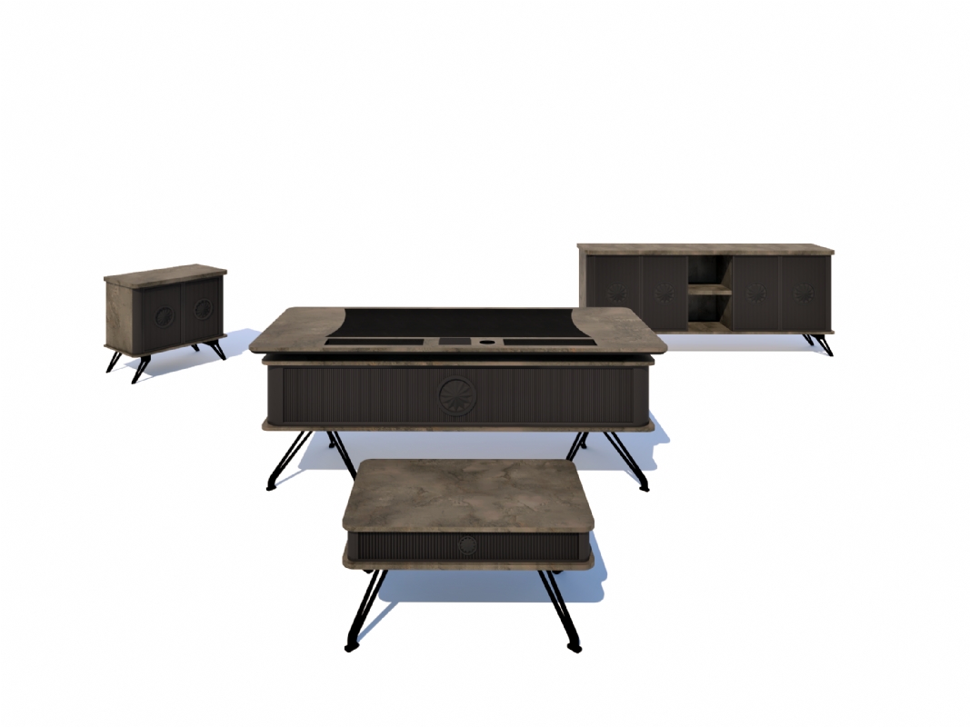 VERA MAKAM TAKIMI VERA MAKAM TAKIMI - Görsel 4