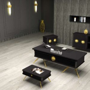 VERA MASA TAKIMI CİLALI