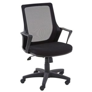 المخرج زيرين كيسا