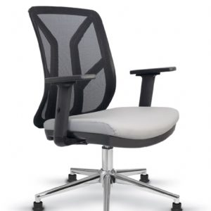 كرسي ضيف زين